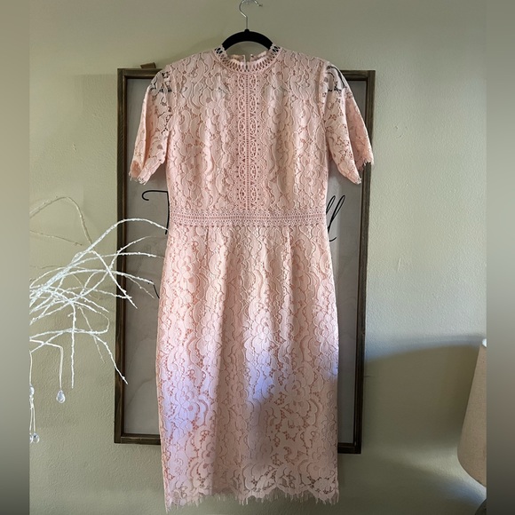 Rachel Parcell midi lace dress - Picture 3 of 8